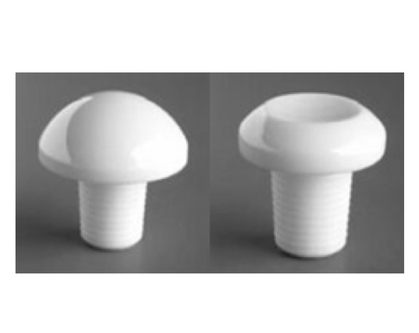 Moje metatarsophalangeal joint